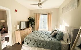 Museum District Apt Retreat W/Bbq Patio And Pool